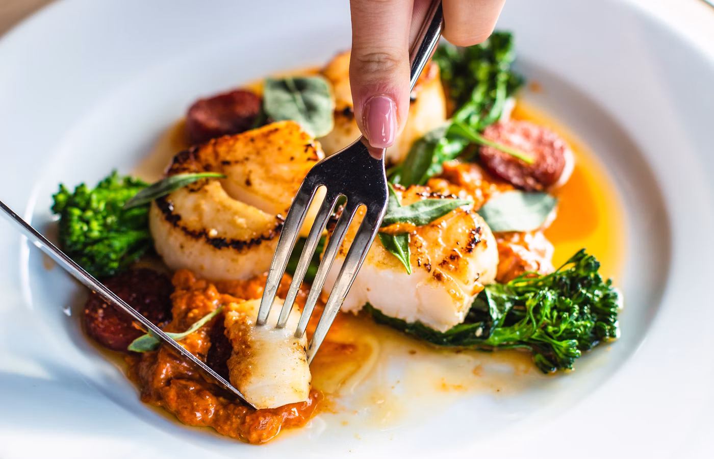 Seared scallops on a plate